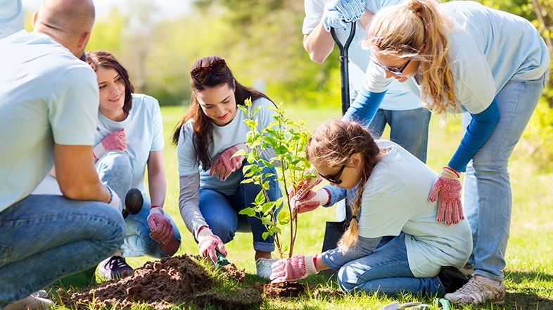 Free or low-cost family activities